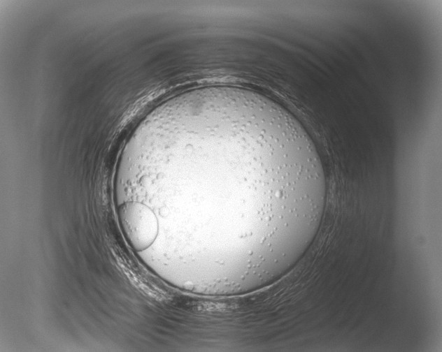 X0000086290347200703300908