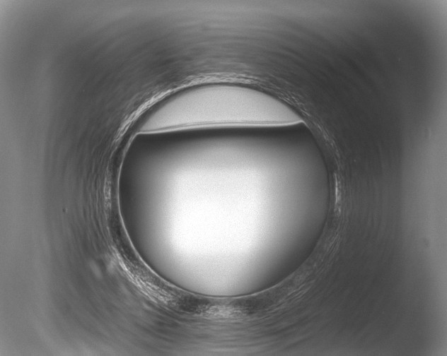 X0000086290348200703300908