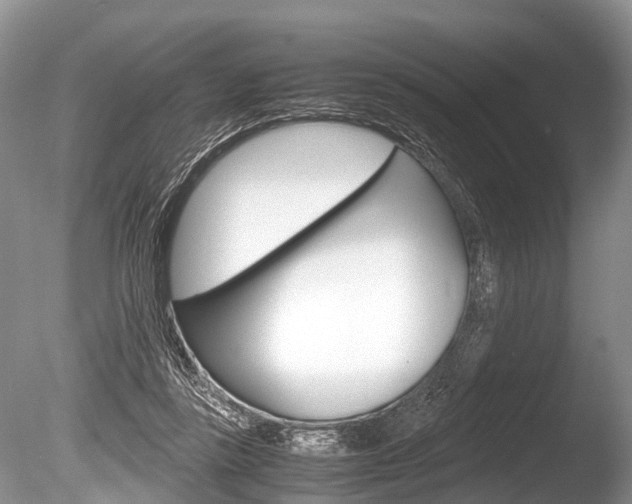 X0000086290355200703300908
