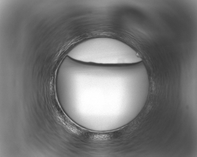 X0000086290357200703300908
