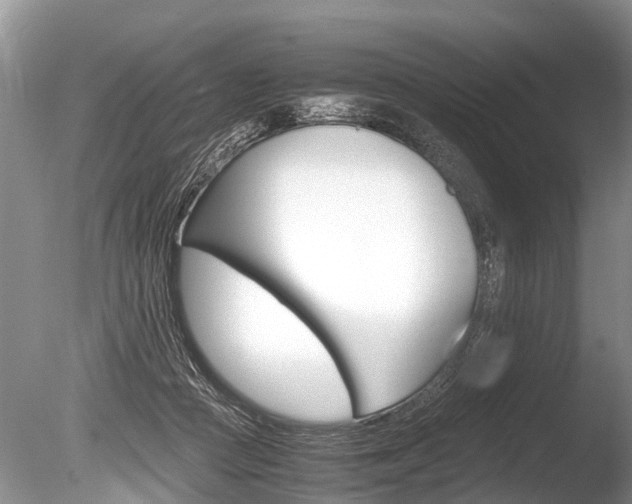 X0000086290361200703300908