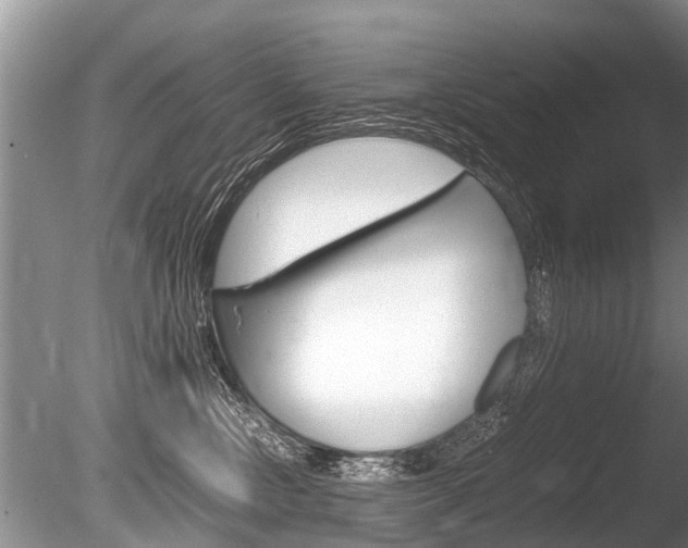 X0000086290378200703300908