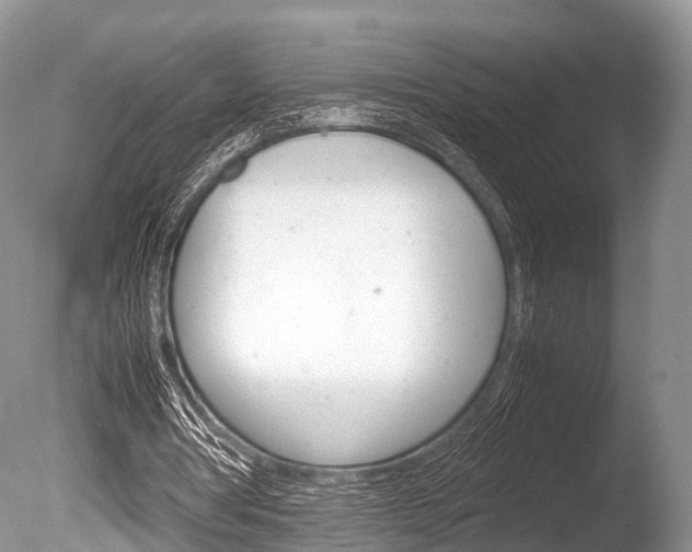 X0000086290386200703300907