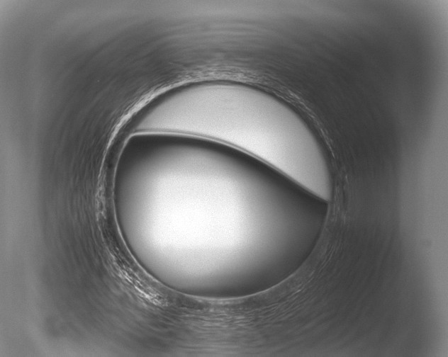 X0000086290388200703300907