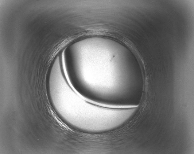 X0000086290389200703300907