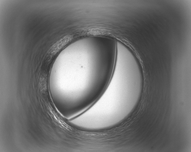 X0000086290393200703300907