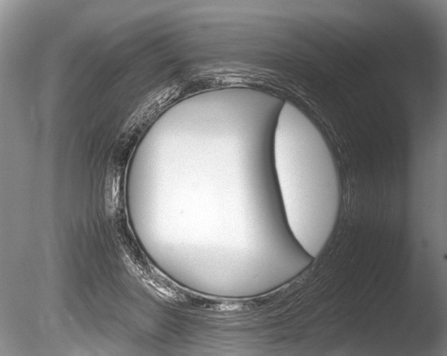 X0000086290406200703300907