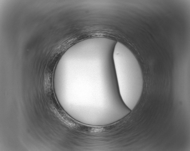 X0000086290410200703300907