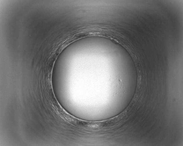X0000086290411200703300907