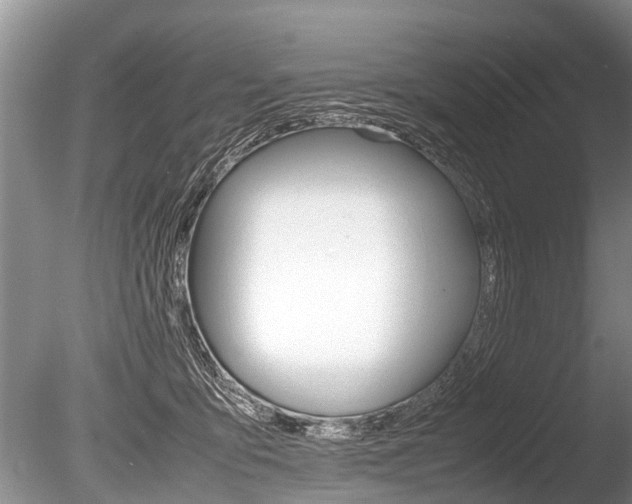 X0000086290419200703300907