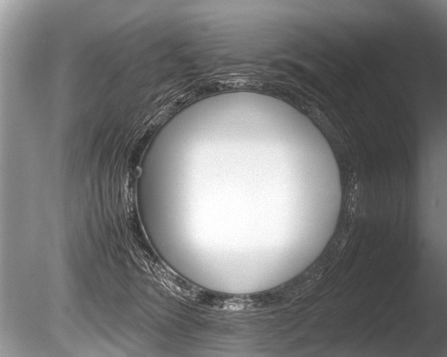 X0000086290420200703300907
