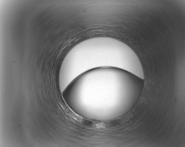 X0000086290423200703300907