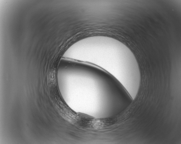 X0000086290425200703300907