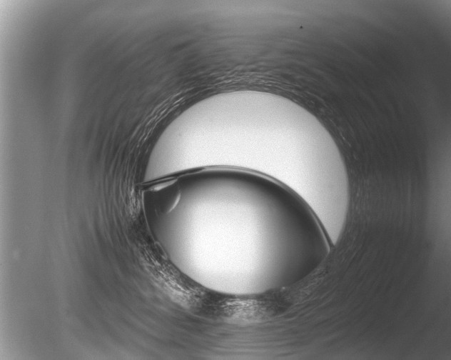 X0000086290428200703300907