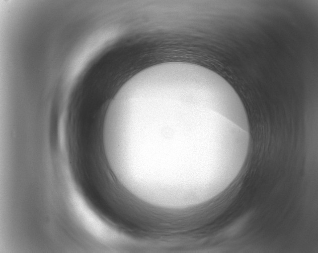 X0000086290431200703300907