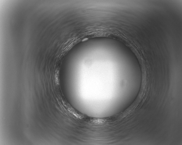 X0000086290432200703300907