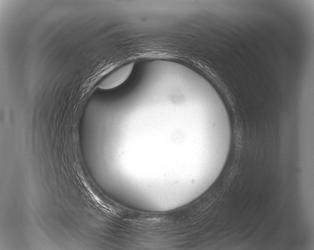 X0000086290433200703300906