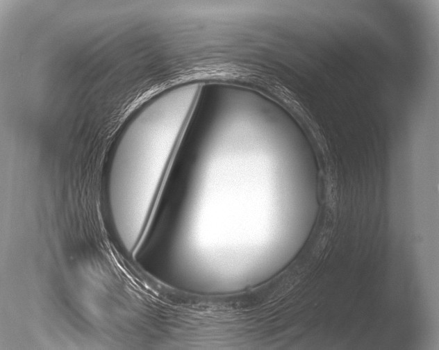 X0000086290434200703300906