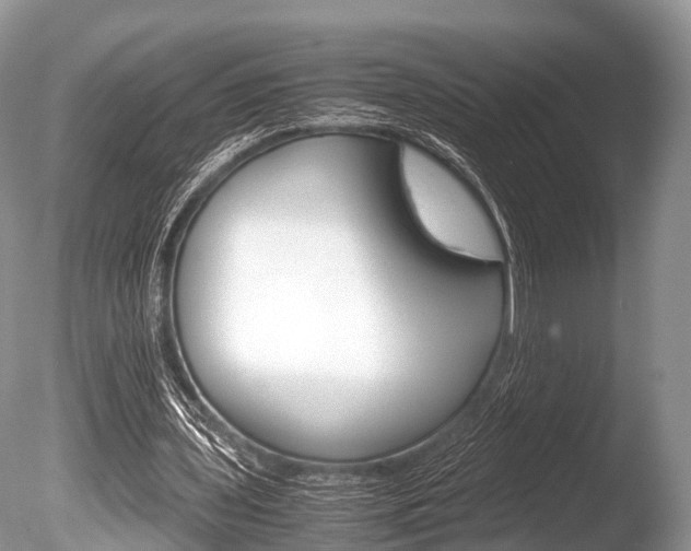 X0000086290435200703300906