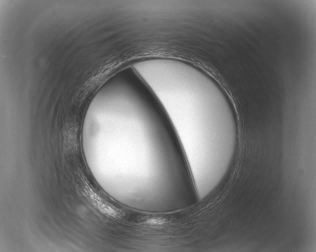 X0000086290441200703300906