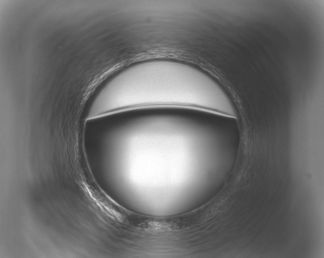 X0000086290442200703300906