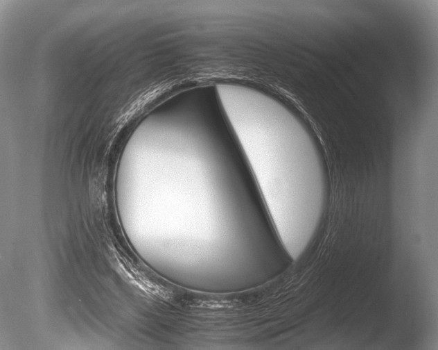 X0000086290443200703300906