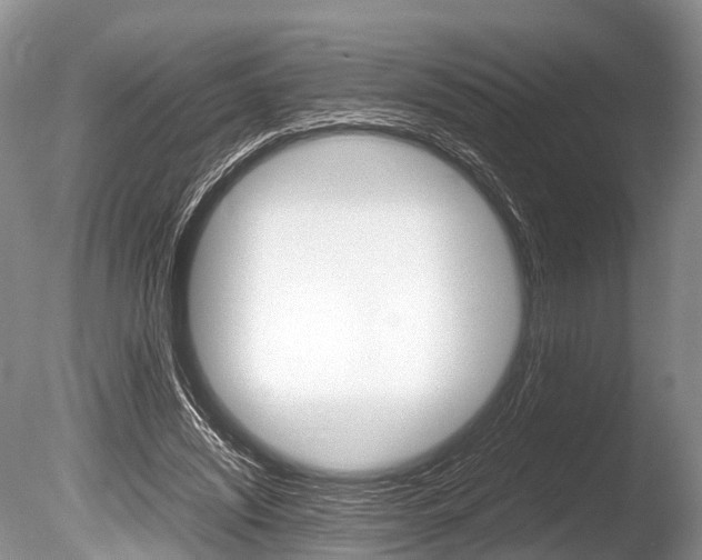 X0000086290444200703300906