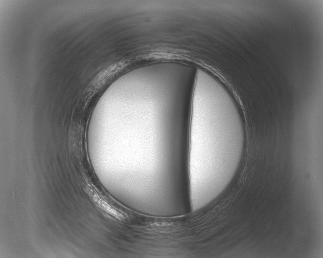 X0000086290445200703300906