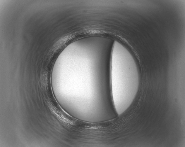 X0000086290447200703300906