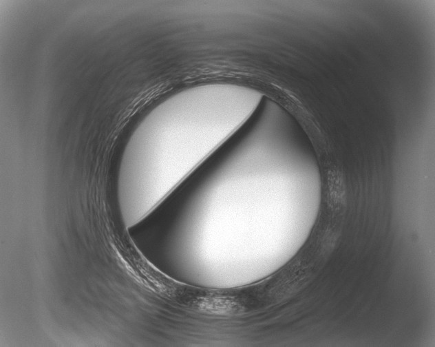 X0000086290451200703300906