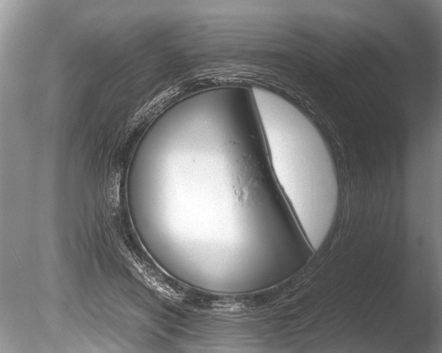 X0000086290454200703300906