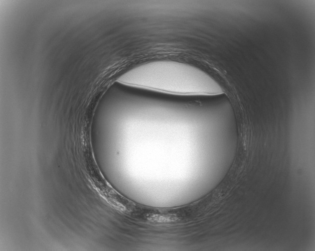 X0000086290455200703300906