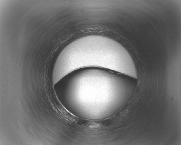 X0000086290456200703300906