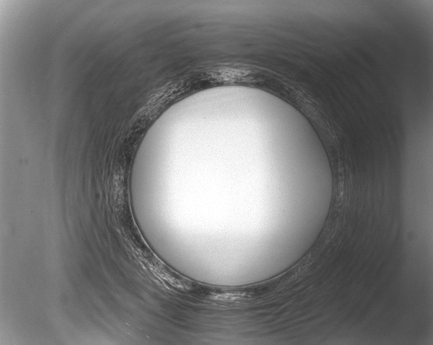 X0000086290461200703300906