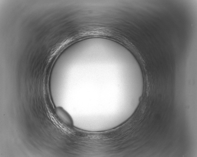 X0000086290482200703300906