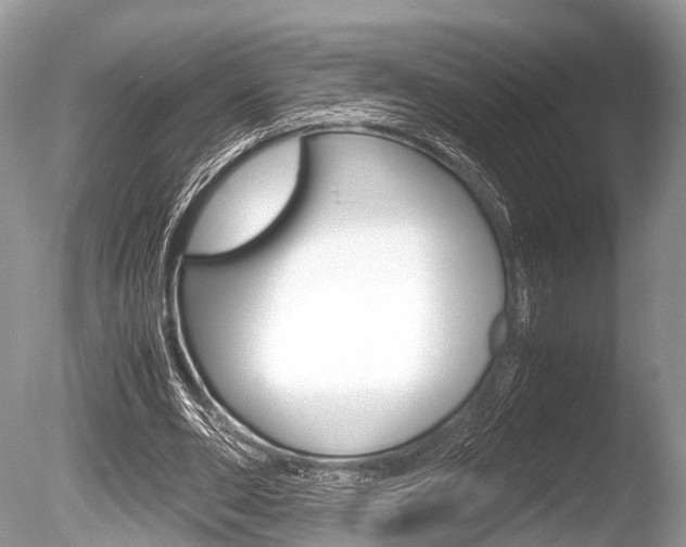 X0000086290486200703300906