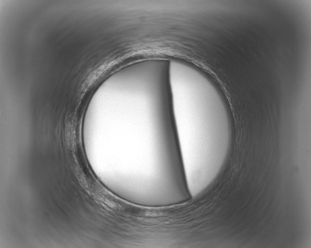 X0000086290487200703300906