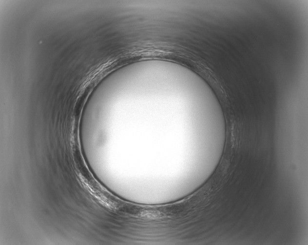 X0000086290490200703300906