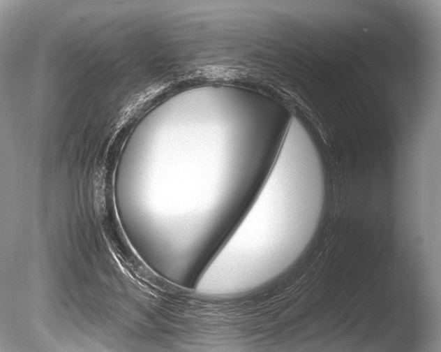 X0000086290492200703300906