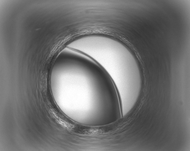 X0000086290493200703300906