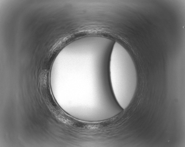 X0000086290495200703300905