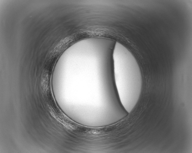 X0000086290498200703300905