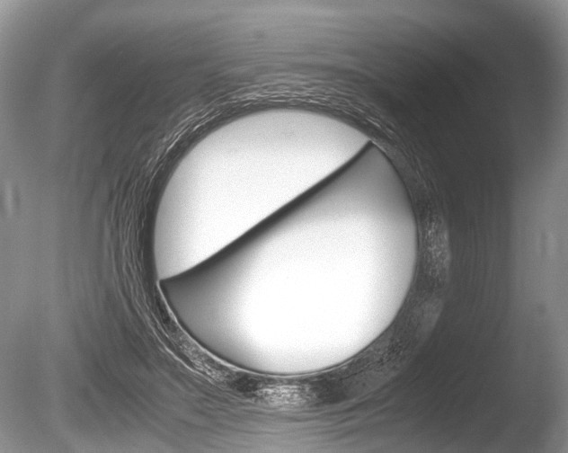 X0000086290499200703300905