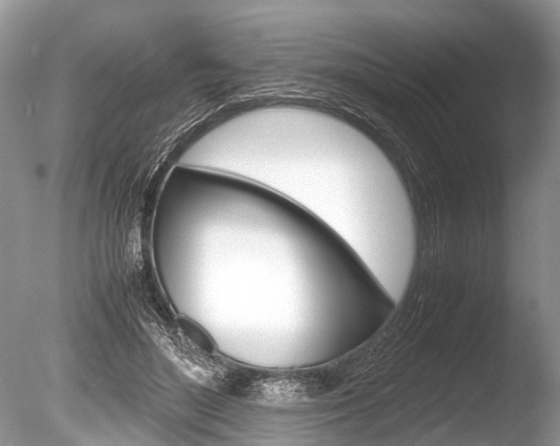 X0000086290500200703300905