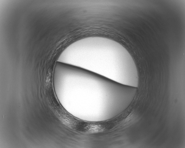 X0000086290507200703300905