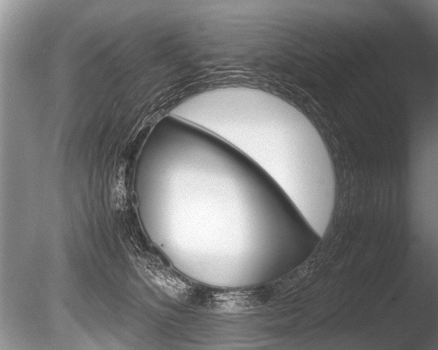 X0000086290516200703300905