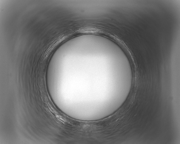 X0000086290529200703300904