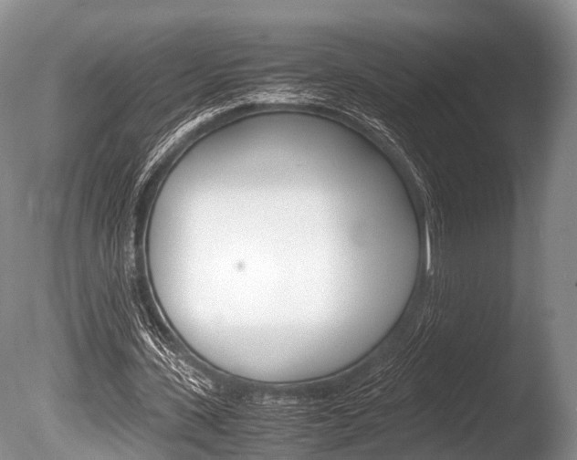 X0000086290531200703300904