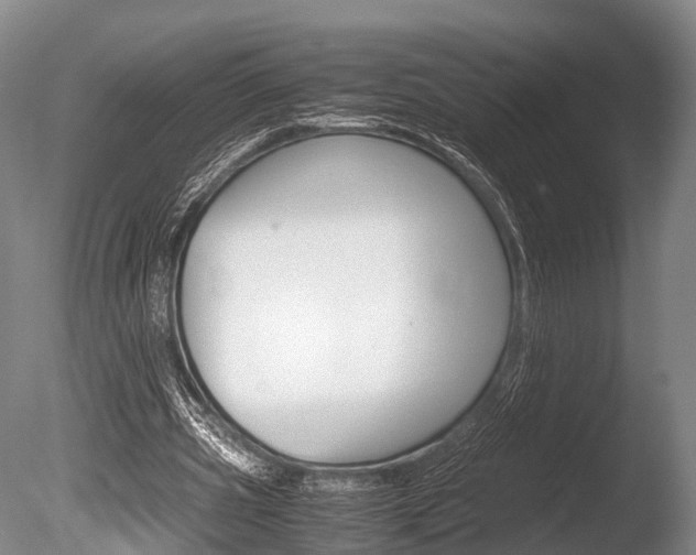 X0000086290533200703300904