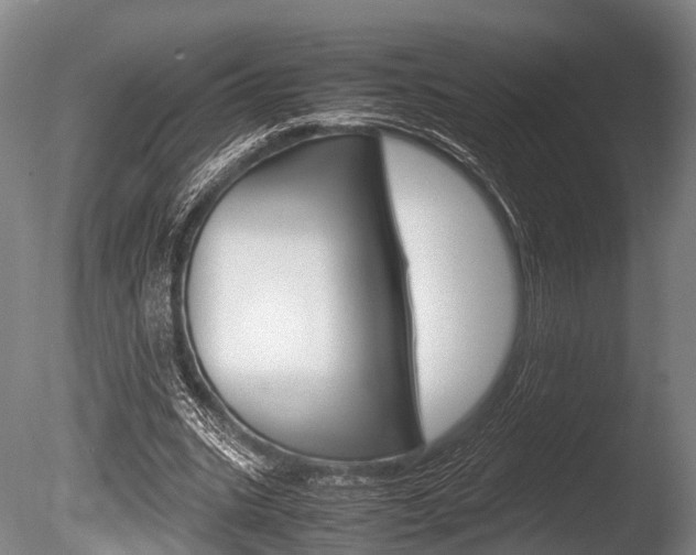 X0000086290535200703300904
